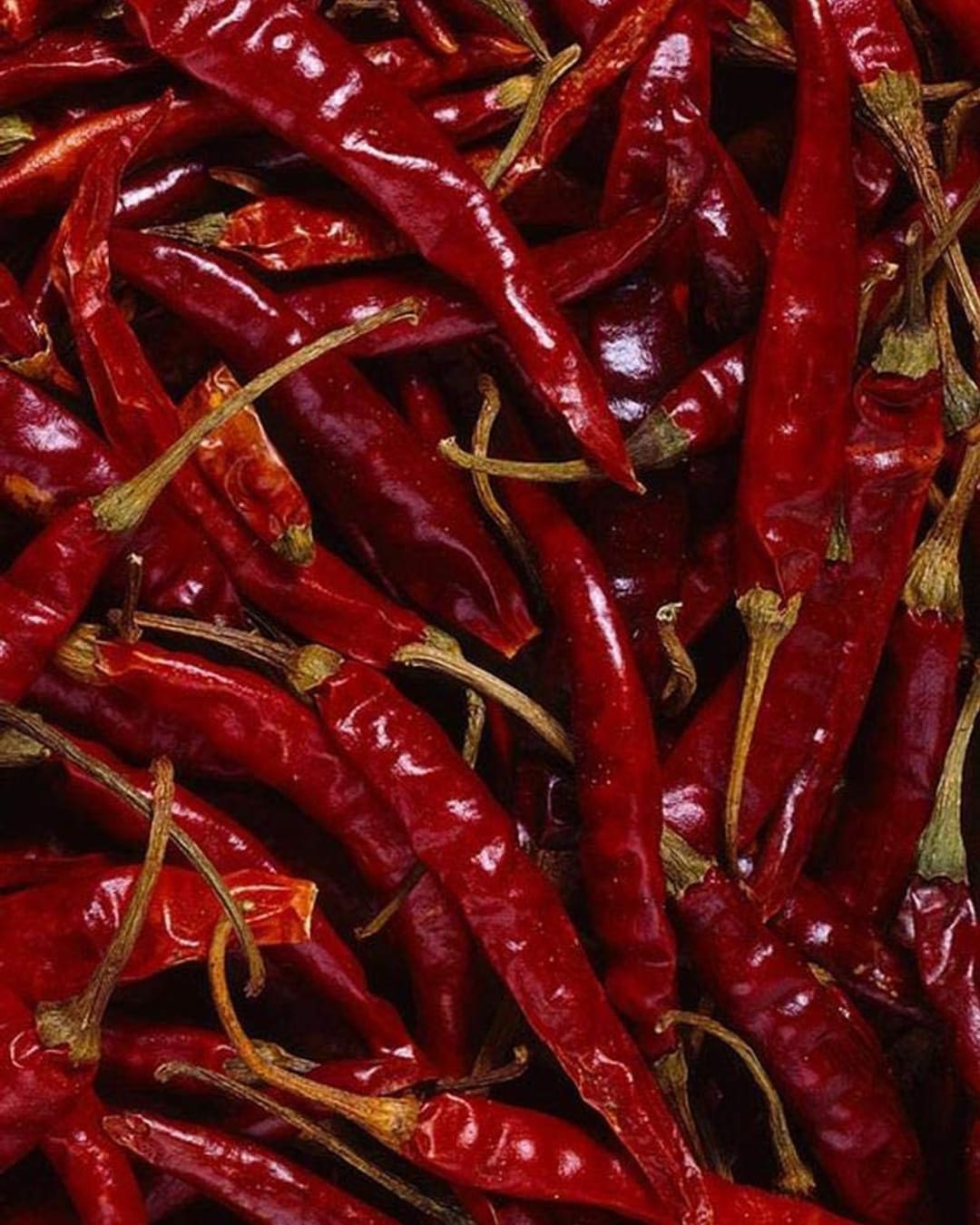 2007. Chili Pepper — PANTONE 19-1557