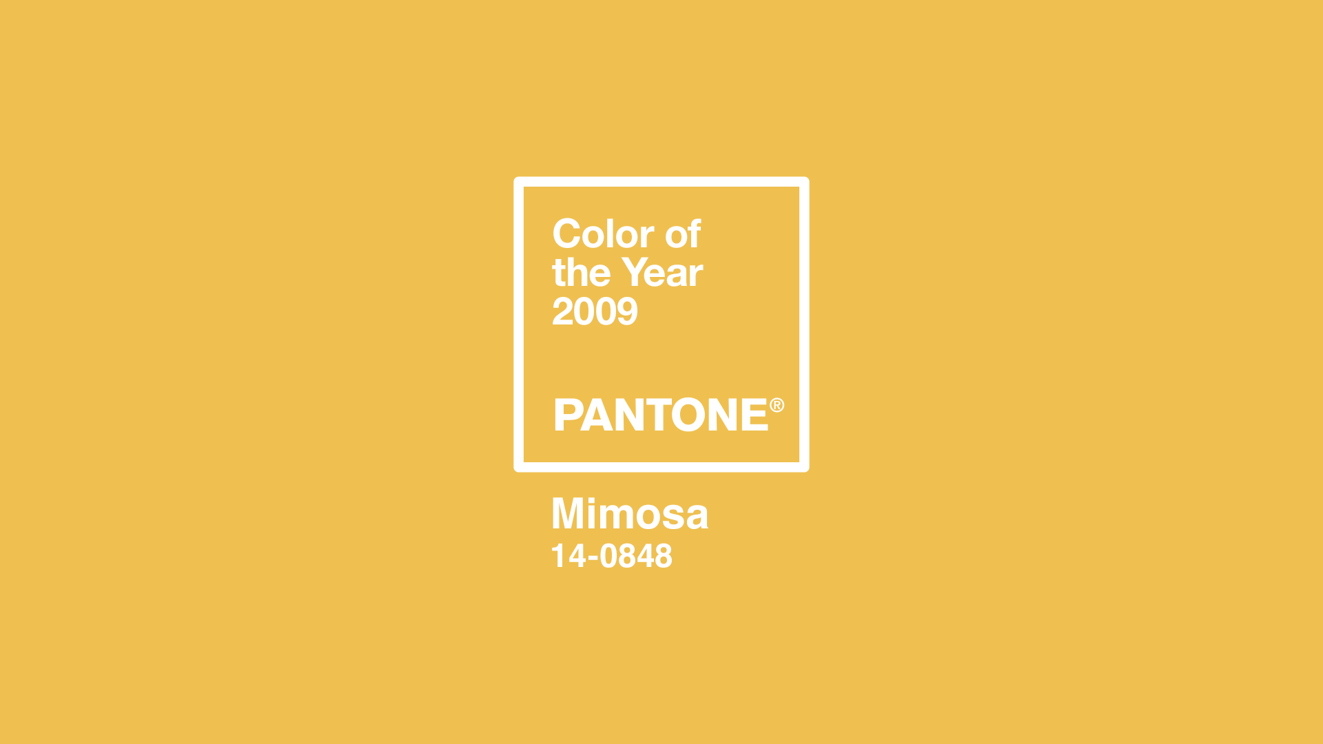 2009. Mimosa — PANTONE 14-0848